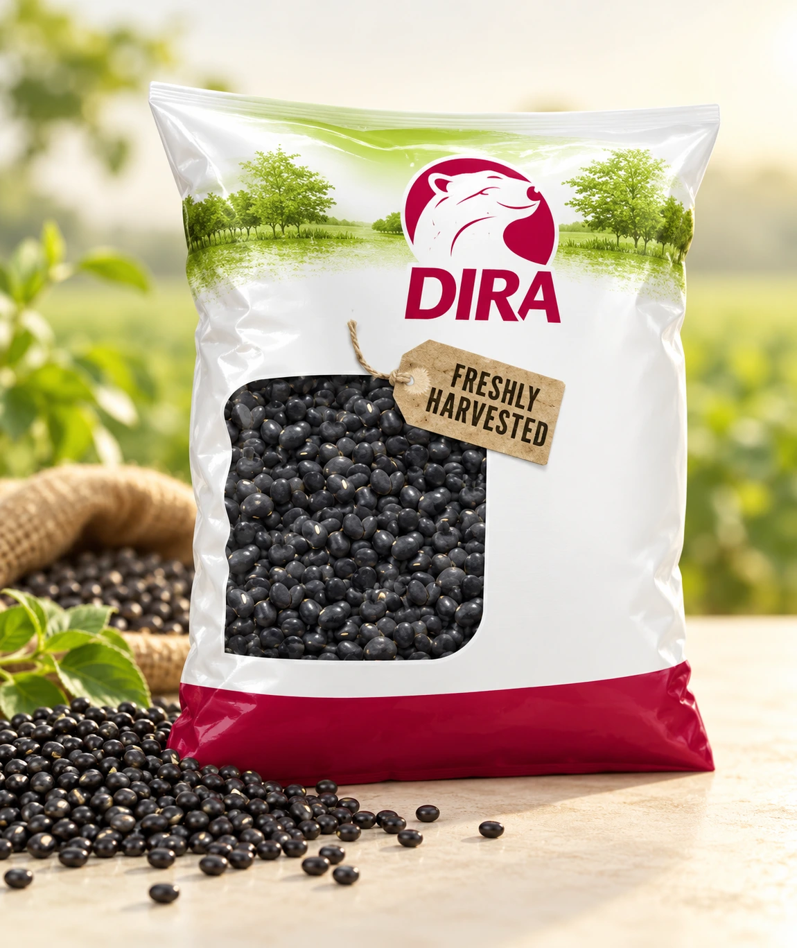 Black Currant Frozen for commercial food production